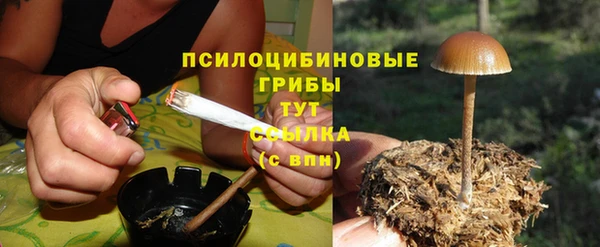 кокс Бородино