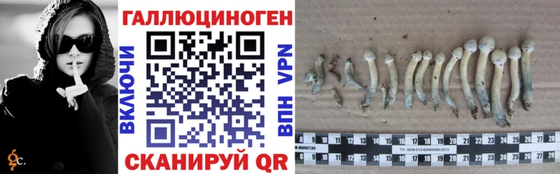 Псилоцибиновые грибы мицелий  Суворов 